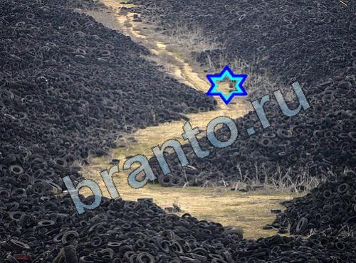 Найди собаку ответы в картинках Уровень 354