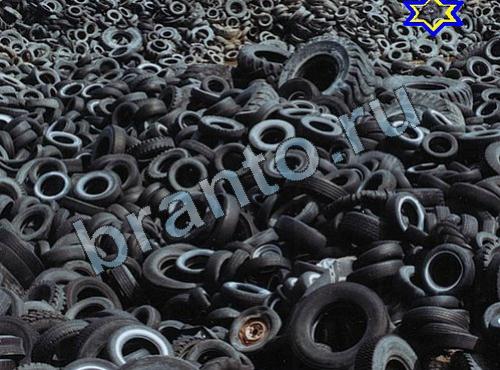 ответы на игру Найди собаку Уровень 355