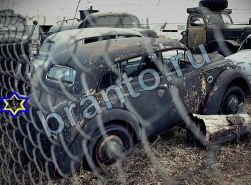 ответы на игру Найди собаку Уровень 356