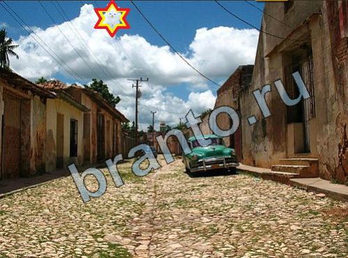 Найди собаку ответы Уровень 234