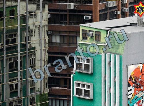 игра Найди собаку ответы Уровень 240