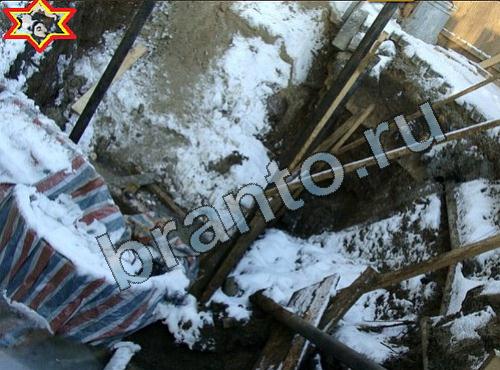 Найди собаку в одноклассниках ответы Уровень 241