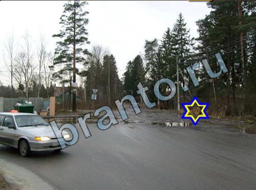 Найди собаку подсказки Уровень 242