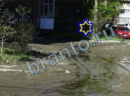 ответы на игру Найди собаку Уровень 244