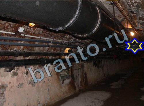 Найди собаку сборник ответов Уровень 245