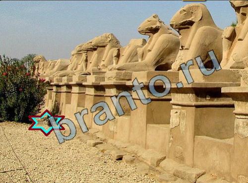 ответы на игру Найди собаку Уровень 246