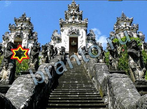 ответы на игру Найди собаку Уровень 247