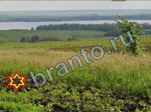 Найди собаку ответы в картинках Уровень 249