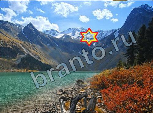 ответы на игру Найди собаку Уровень 250