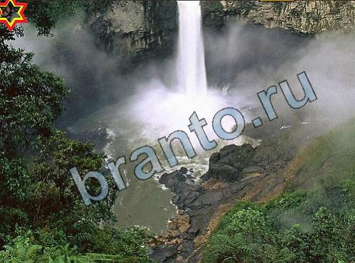 ответы на игру Найди собаку Уровень 251