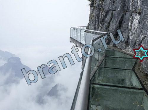 Найди собаку сборник ответов Уровень 276