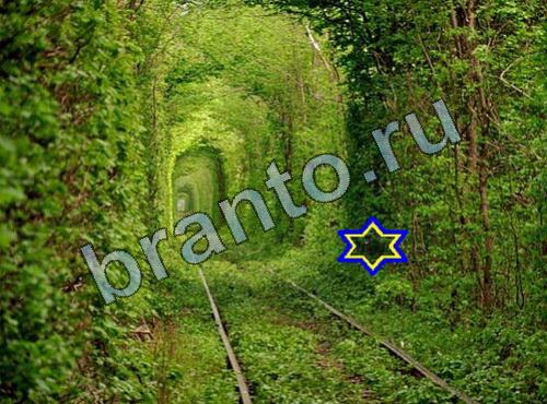 игра Найди собаку ответы Уровень 282