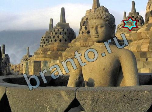 ответы на игру Найди собаку вконтакте Уровень 285