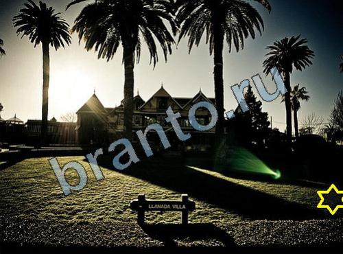 ответы на игру Найди собаку Уровень 286