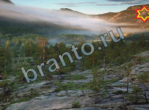 ответы на игру Найди собаку Уровень 292