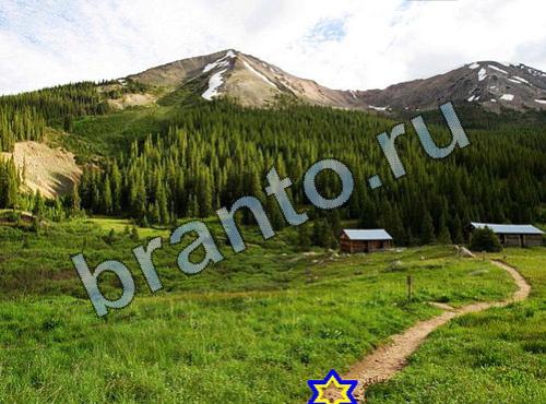 ответы на игру Найди собаку ВК Уровень 298