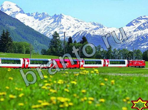 игра Найди собаку подсказки в контакте Уровень 299