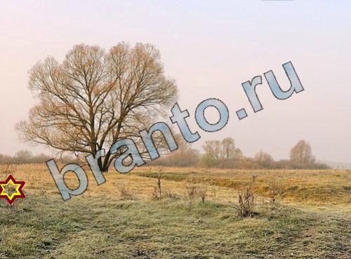 ответы на игру Найди собаку Уровень 302