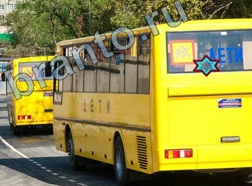 ответы на игру Найди собаку Уровень 307