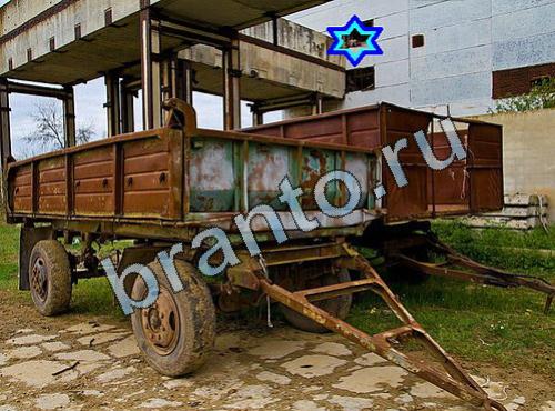 игра Найди собаку ответы Уровень 387