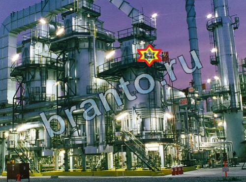 ответы на игру Найди собаку Уровень 393