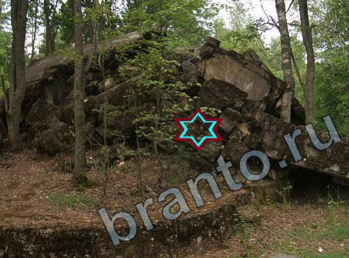 Найди собаку игра ответы Уровень 406