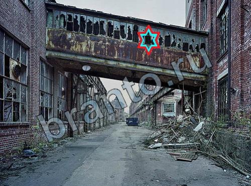 Найди собаку подсказки Уровень 410