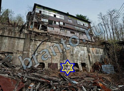 Найди собаку сборник ответов ВК Уровень 413