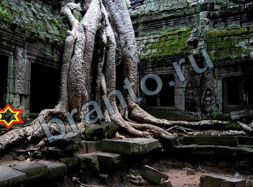 ответы на игру Найди собаку Уровень 414