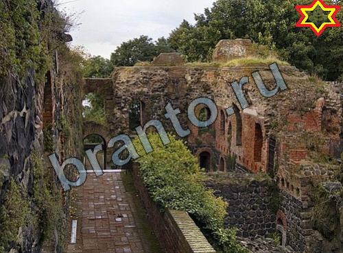 ответы на игру Найди собаку в контакте Уровень 418