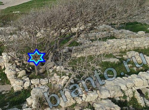 ответы на игру Найди собаку Уровень 420