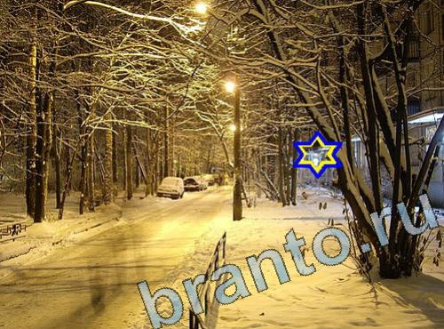 Найди собаку Мой мир игра ответы Уровень 427