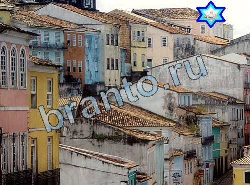 ответы на игру Найди собаку Уровень 428