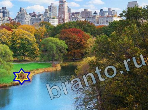 ответы на игру Найди собаку Уровень 433