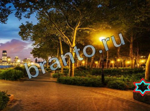 ответы на игру Найди собаку Уровень 436