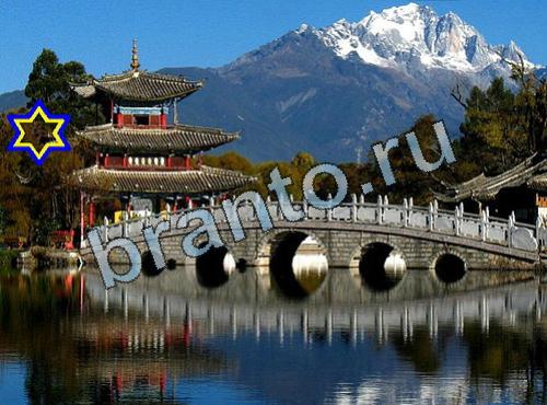 Найди собаку ответы в картинках Уровень 438