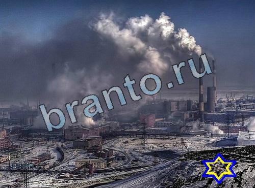 ответы на игру Найди собаку Уровень 440