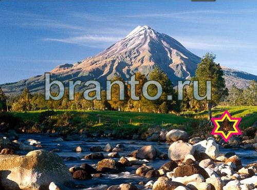 игра Найди собаку подсказки в контакте Уровень 467