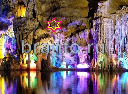 Найди собаку игра ответы Уровень 469