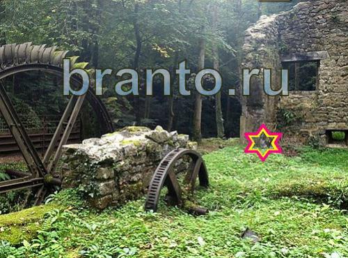 ответы на игру Найди собаку Уровень 470