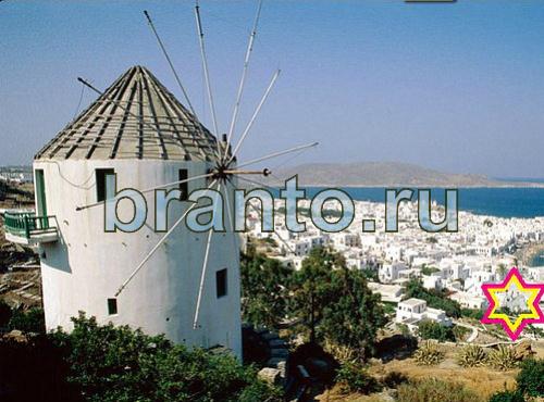 игра Найди собаку ответы Уровень 471