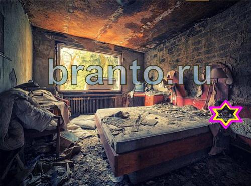 ответы на игру Найди собаку Уровень 478