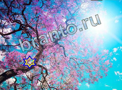 гда найти собаку в игре Найди собаку 505