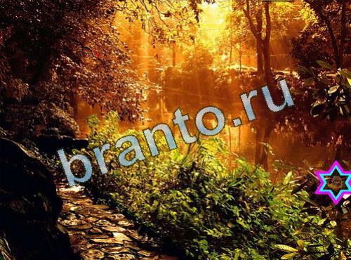 ответы на игру Найди собаку Уровень 510