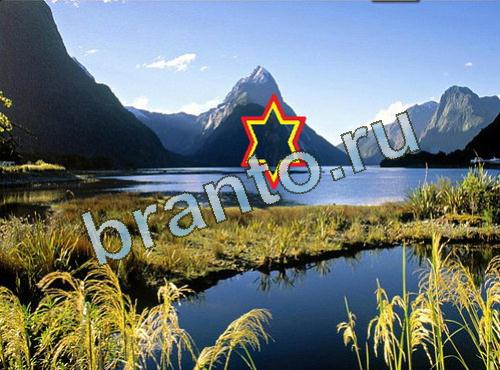 Найди собаку игра ответы Уровень 511