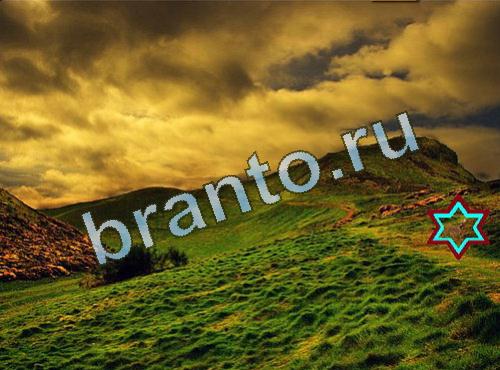 Найди собаку в одноклассниках ответы Уровень 514