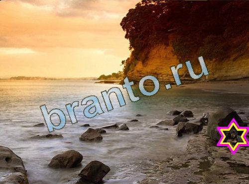 Найди собаку подсказки Уровень 515