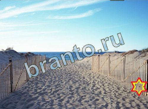 ответы на игру Найди собаку Уровень 517