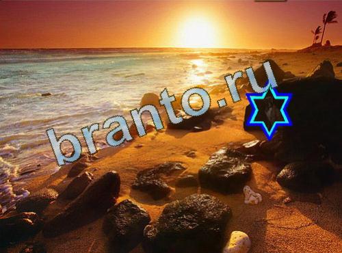 ответы на игру Найди собаку Уровень 520