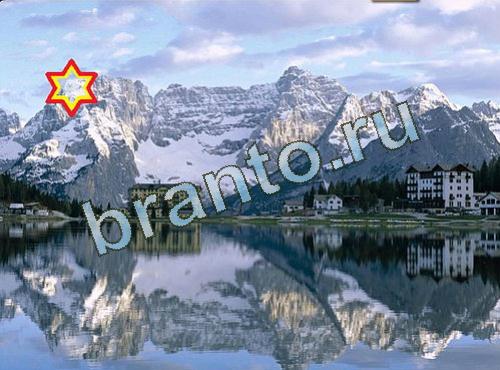 Игра Найди собаку подсказки Уровень 521